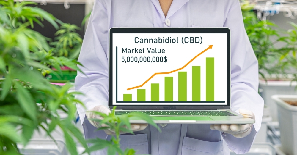 Market CBD Brands